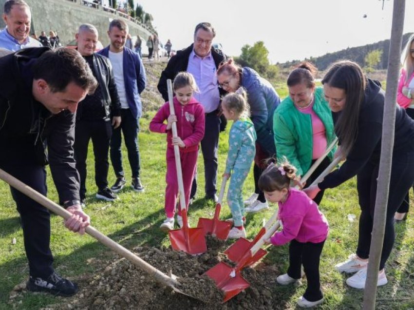 Veliaj: “Ne mbjellim pemë, pastërti dhe dashuri, jo përçarje; ata kanë hallet e non gratas, ne shohim hallet e qytetarëve”