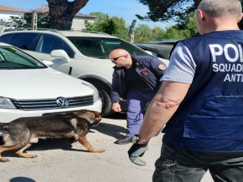 Kapet “kapoja” shqiptar i drogës në Itali, sekuestrohen kokainë dhe kanabis