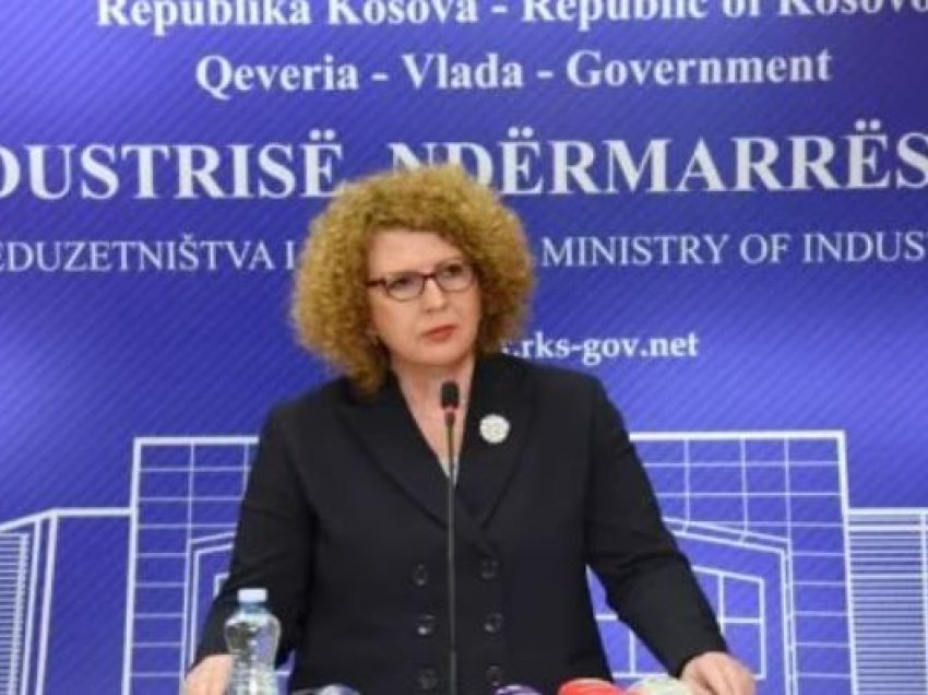 Ministrja Hajdari sot mban konferencë për media