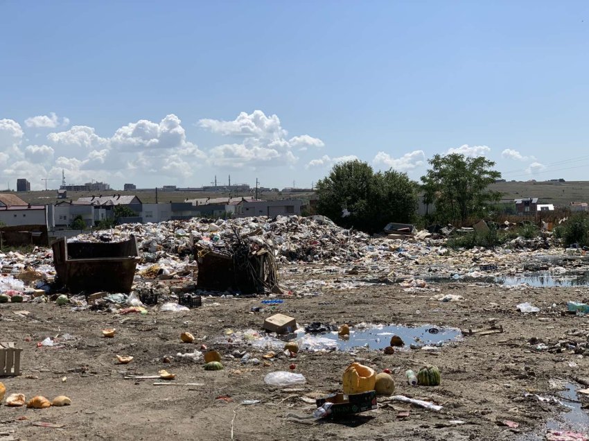 Tregu i Gjelbër, zonë ku kundërmojnë mbeturinat