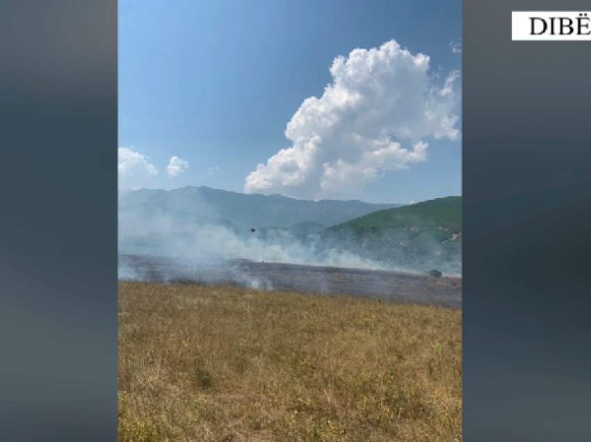 Ndezi zjarr për djegien e shkurreve, por i doli nga kontrolli! Procedohet penalisht 68-vjeçari në Dibër