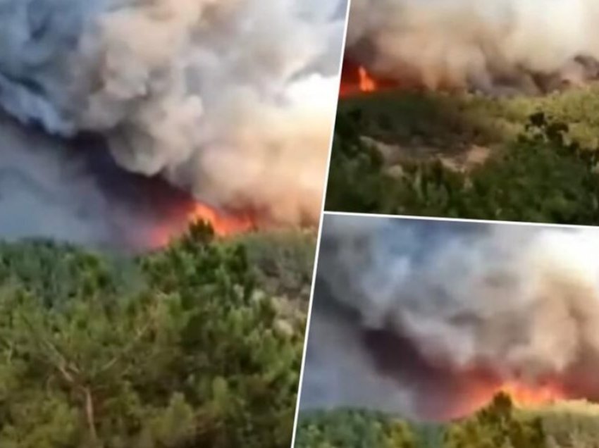 Tmerr në Greqi, gjenden më shumë se 18 trupa të karbonizuar