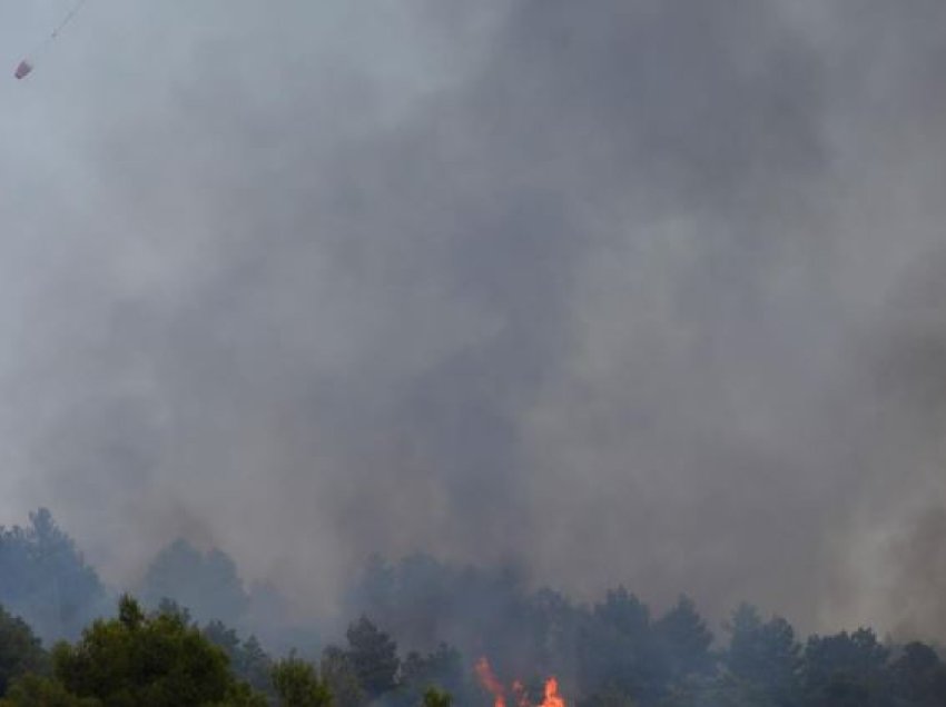 Peleshi: Vatrat në Laç dhe Vlorë janë shuar plotësisht,  në Fier, Tepelenë dhe Finiq po punohet nga terreni