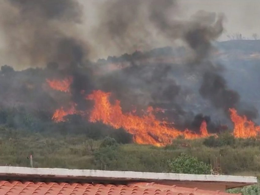 23 të arrestuar për zjarrvënie të qëllimshme në Shqipëri