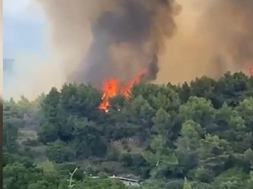 23 piromanë të arrestuar, apeli i Ballës: Gjykatat ti japin dënimin e merituar