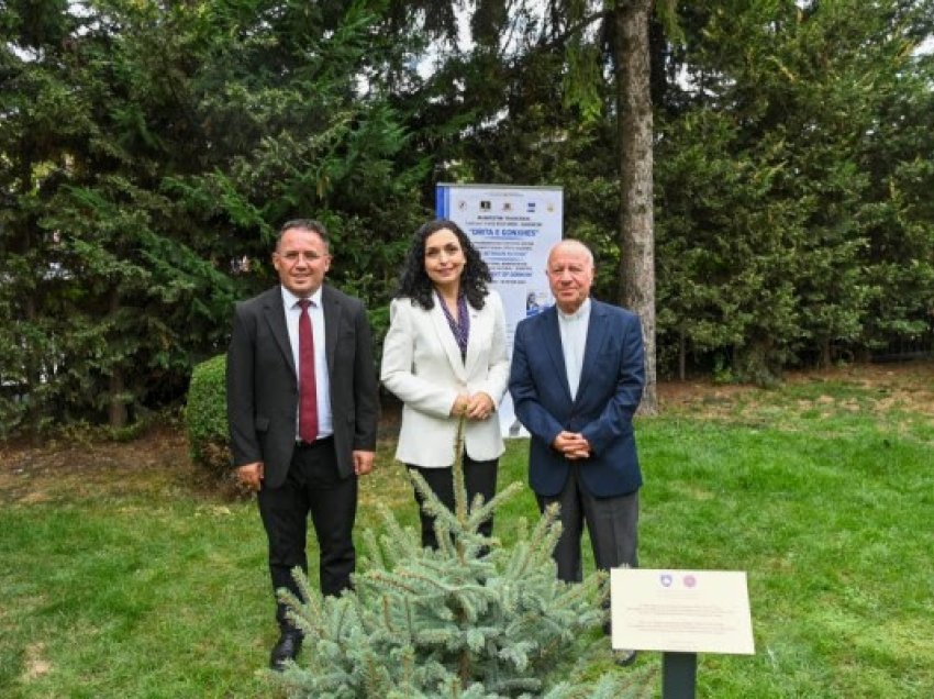 Mbillet bredhi i Nënë Terezës në oborrin e Presidencës