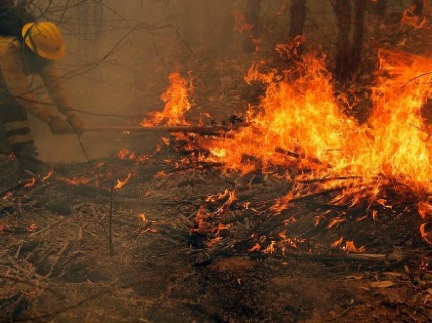 ​Kili, të paktën 23 të vdekur nga zjarret intensive