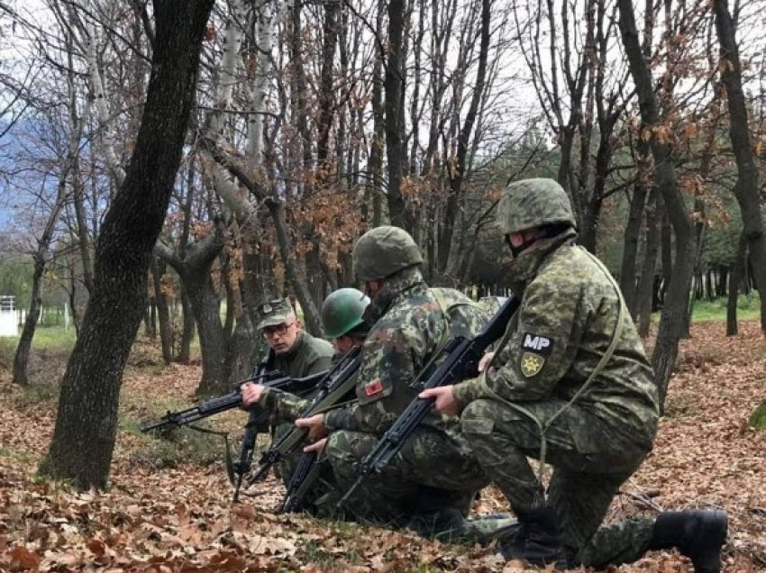 ​Stërviten së bashku komandot e Shqipërisë dhe Kosovës