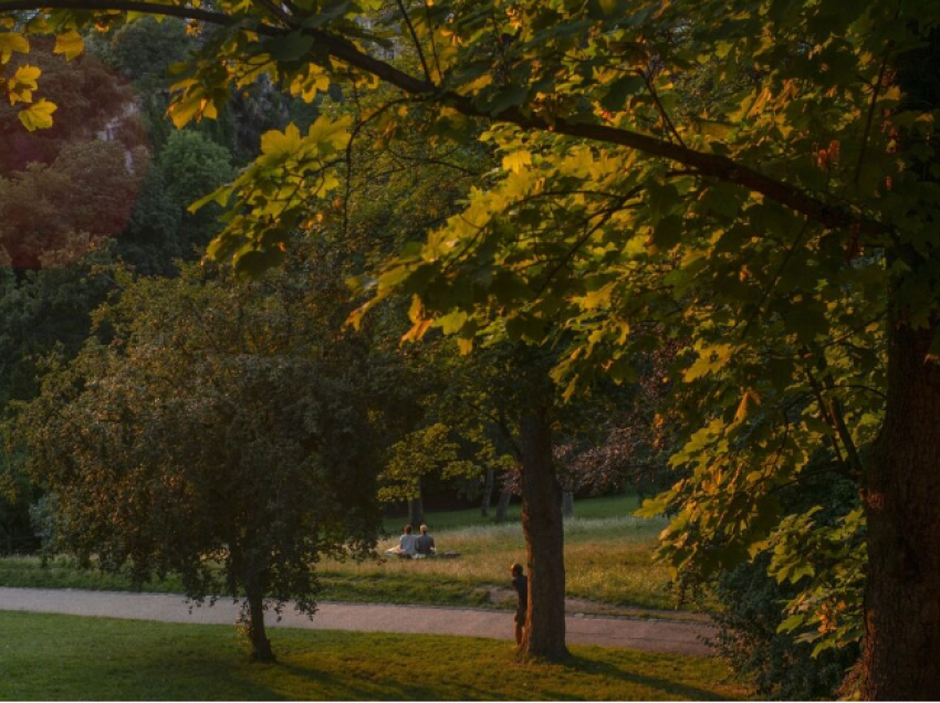 Krimi i tmerrshëm në Paris, gjendet trupi i copëtuar i një gruaje në park