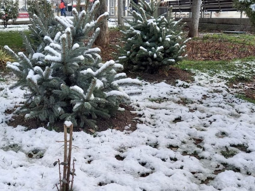 Të dielen bien temperaturat dhe priten reshje bore