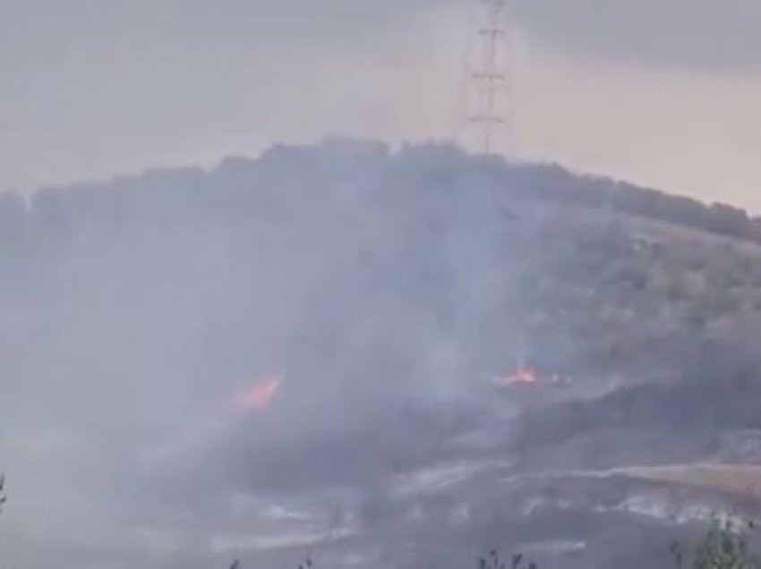 Shkrumbohen mijëra ullinj/ 10 hektarë tokë dhe 3 mijë rrënjë përfshihen nga flakët në Roskovec