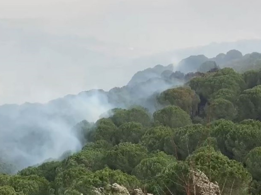 Era e fortë vështirëson punën e zjarrfikësve, që prej ditës së djeshme një vatër ende aktive në Fier