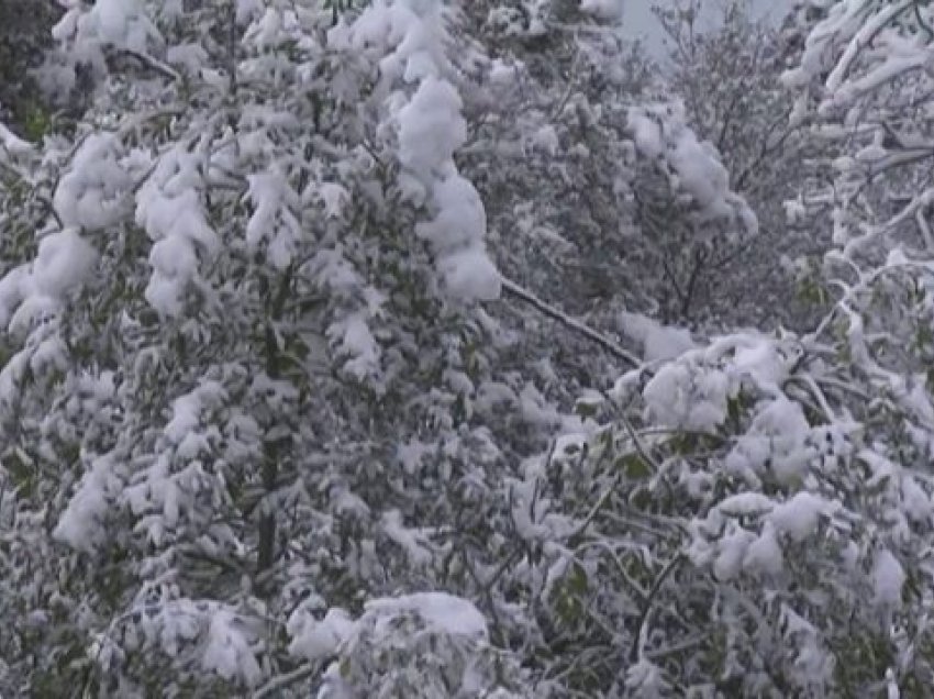 Zbardhet Spanja, temperatura deri në -20 gradë