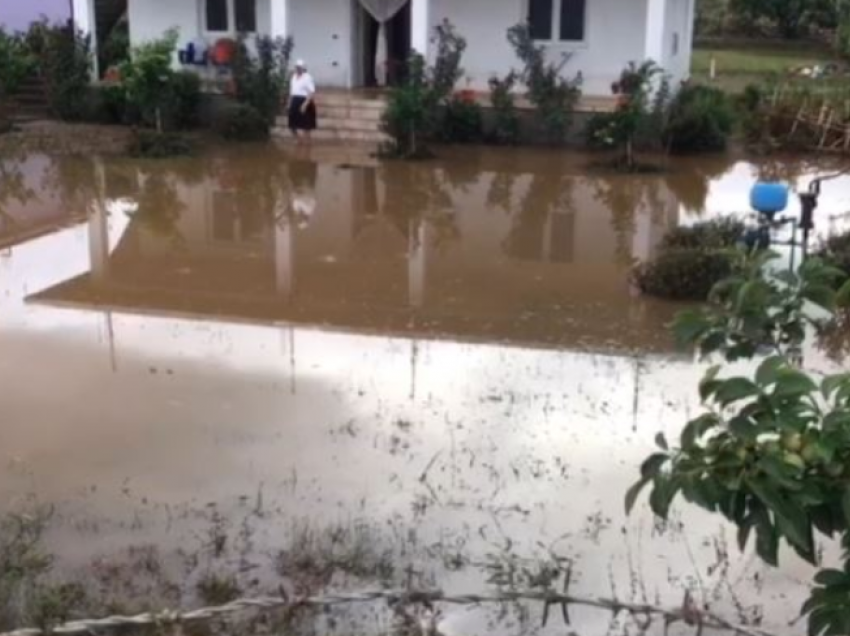 15 banesa me ujë në oborre, si paraqitet situata deri më tani në Shkodër