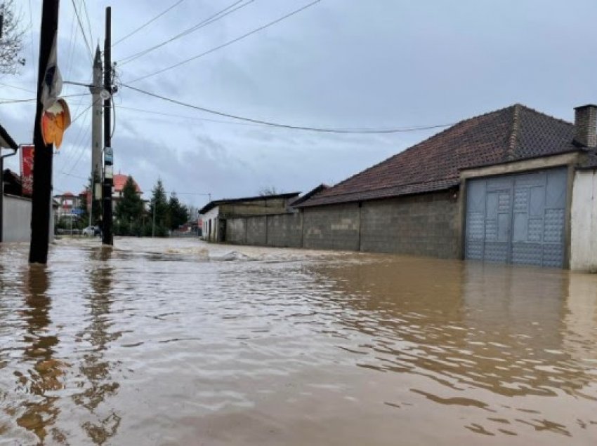 Rreziku nga kafshët e ngordhura gjatë përmbytjeve