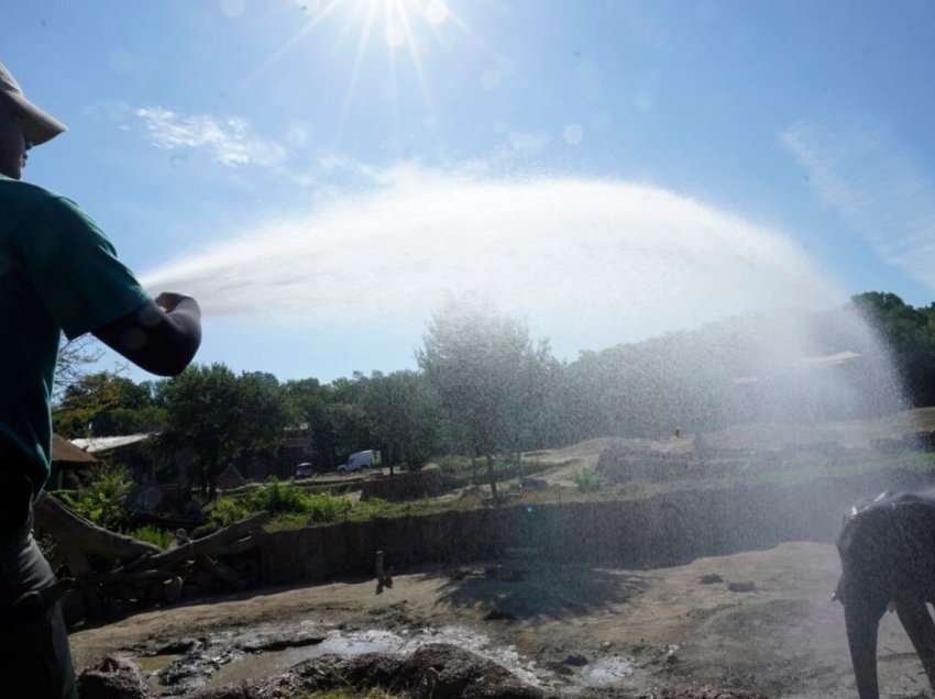 OBM paralajmëron rritje të ndjeshme të temperaturave, “El Nino” shfaqet në në pjesët tropikale të Paqësorit për herë të parë pas 7 vitesh