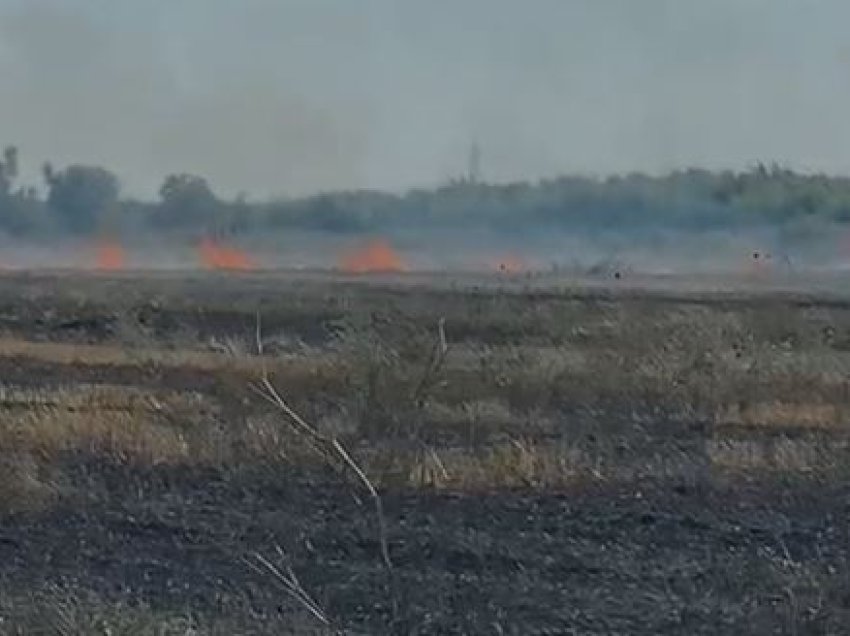 Përshihet nga flakët sipërfaqja me grurë në Fier, shkrumbohen të mbjellat