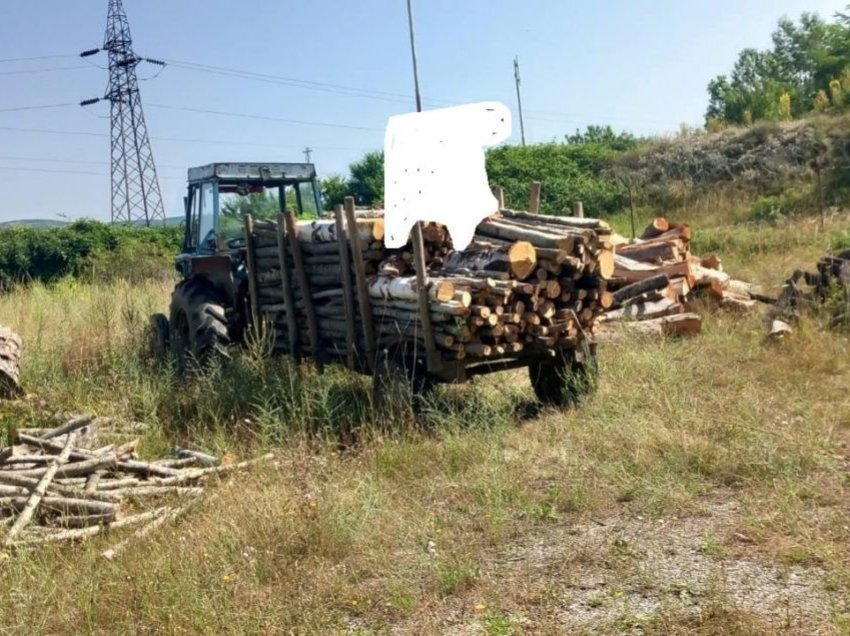 Arrestohen dy persona për prerje ilegale të pyllit në Suharekë, u sekuestrohen drutë