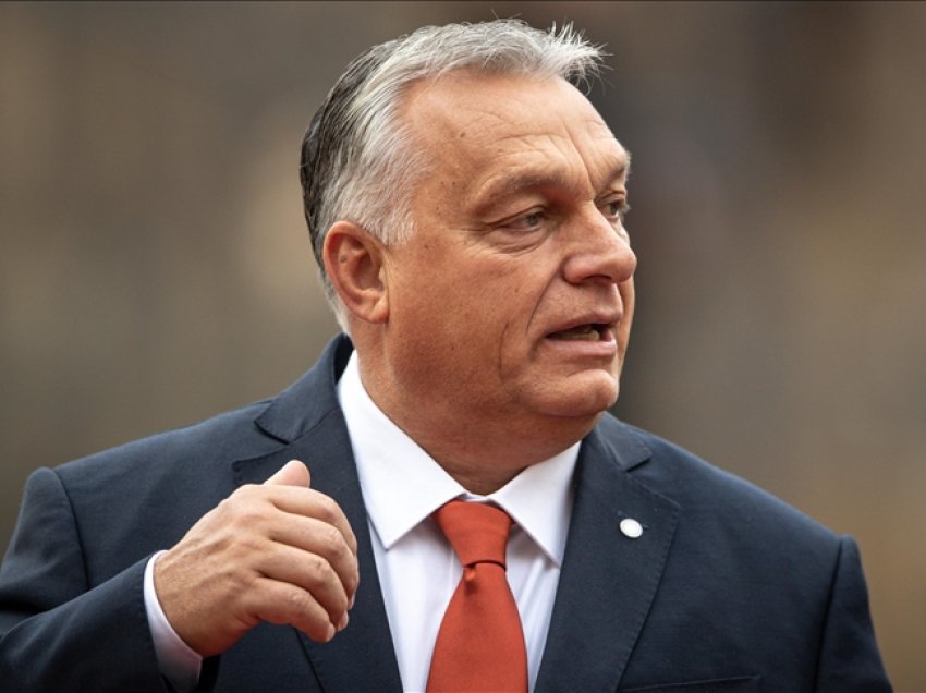 Orban: Anëtarësimi i Ukrainës në NATO do të kishte nxitur Luftën e Tretë Botërore