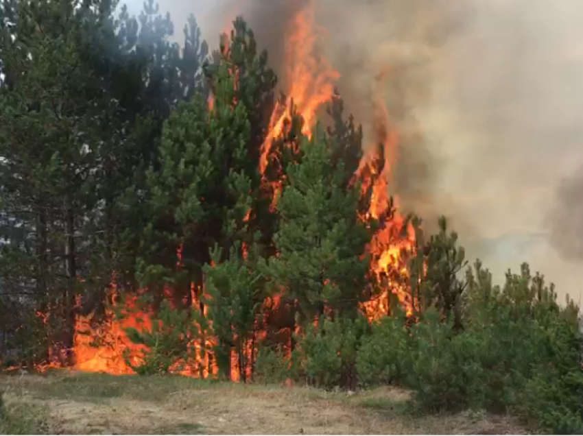 Temperaturat përvëluese rrisin rrezikun për zjarre, IGJEUM ngre alarmin për dy qarqe