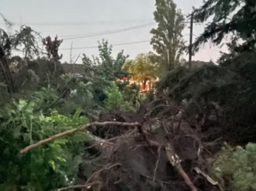 Stuhi tjetër vdekjeprurëse në Serbi, vdesin një fëmijë dhe një grua 