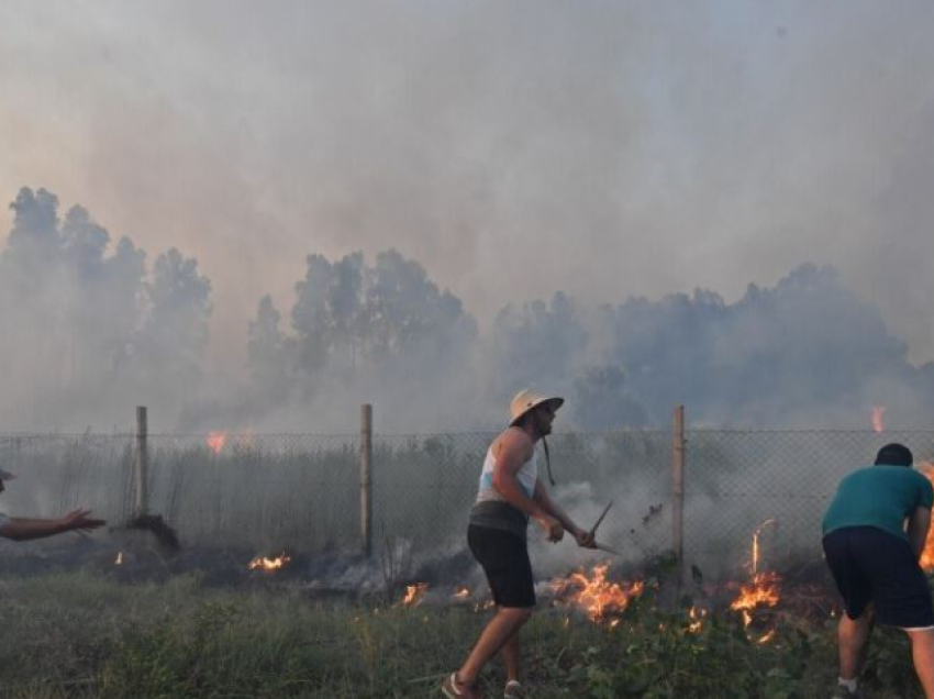 Të paktën 25 persona humbën jetën nga zjarret në Algjeri