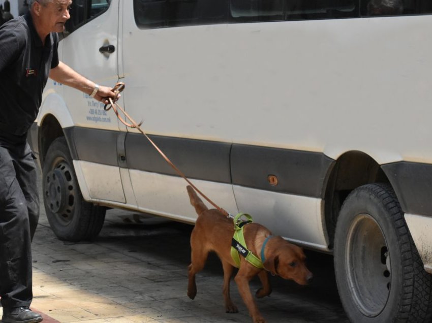 Dogana e Maqedonisë bëhet edhe me një qen nuhatës për zbulimin e narkotikëve, armëve dhe parave