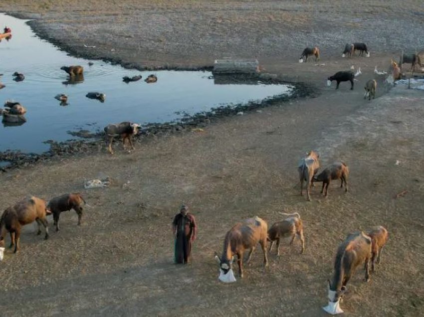 Temperaturat mund ta bëjnë botën pjesërisht të pabanueshme