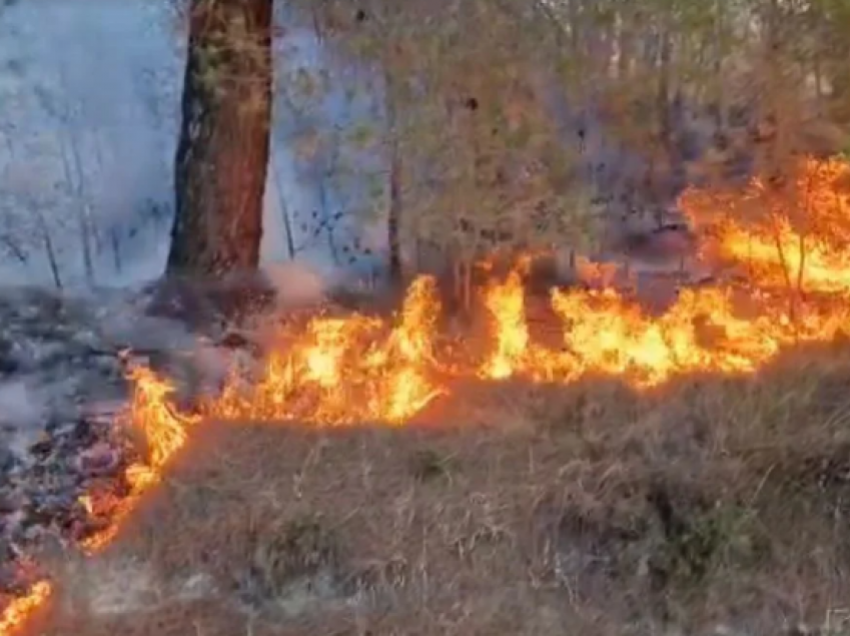 Disa zjarre mbrëmë kanë shpërthyer në rajonin e Kumanovës