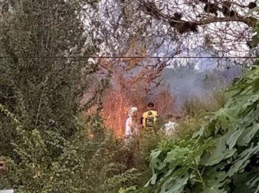 Kodrat e fshatit Hajdaraj në Lushnjë përfshihen nga flakët, shoqërohen dy të moshuar të dyshuar si autorë