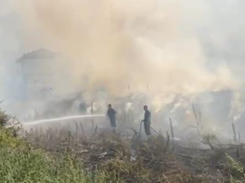 Shkrumbohet sipërfaqja me barishte në Pogradec, ndërhyn zjarrfikësja