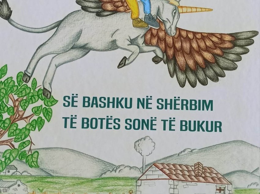 T’i shërbesh botës, për ta bërë atë të bukur