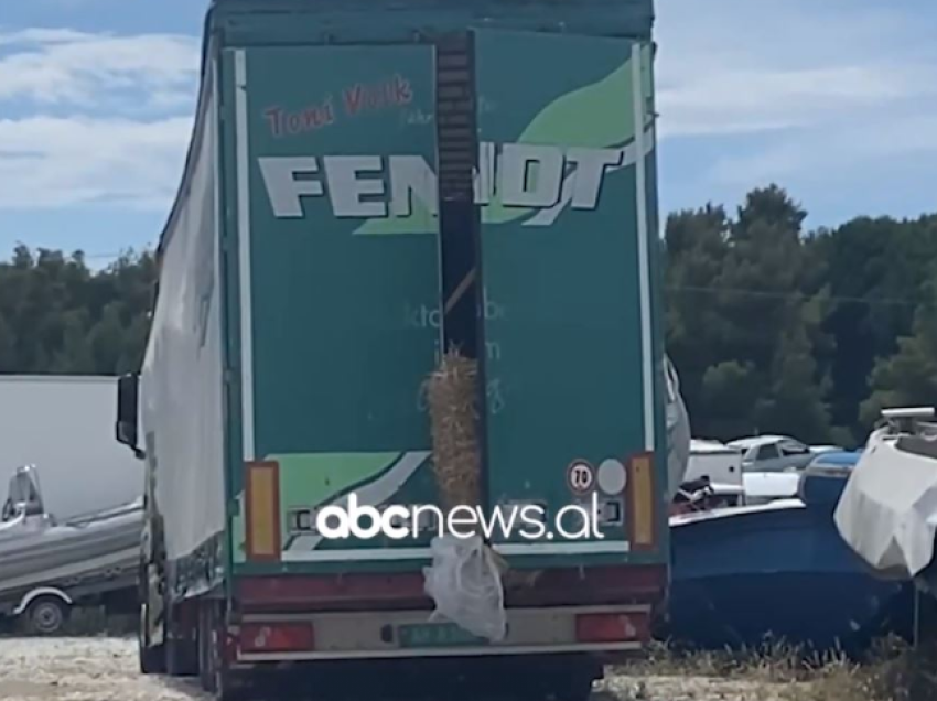  Të shpallur në kërkim për vjedhje nga Italia, kush janë dy të arrestuarit në Vlorë