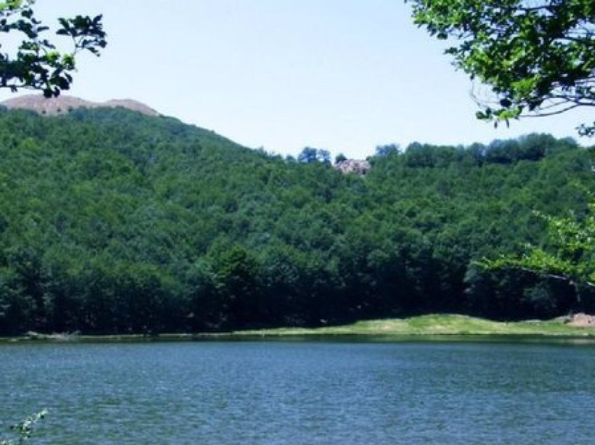 Hidhet nga ura në liqen/ Banorët i shpëtojnë jetën 40-vjeçares në Pogradec