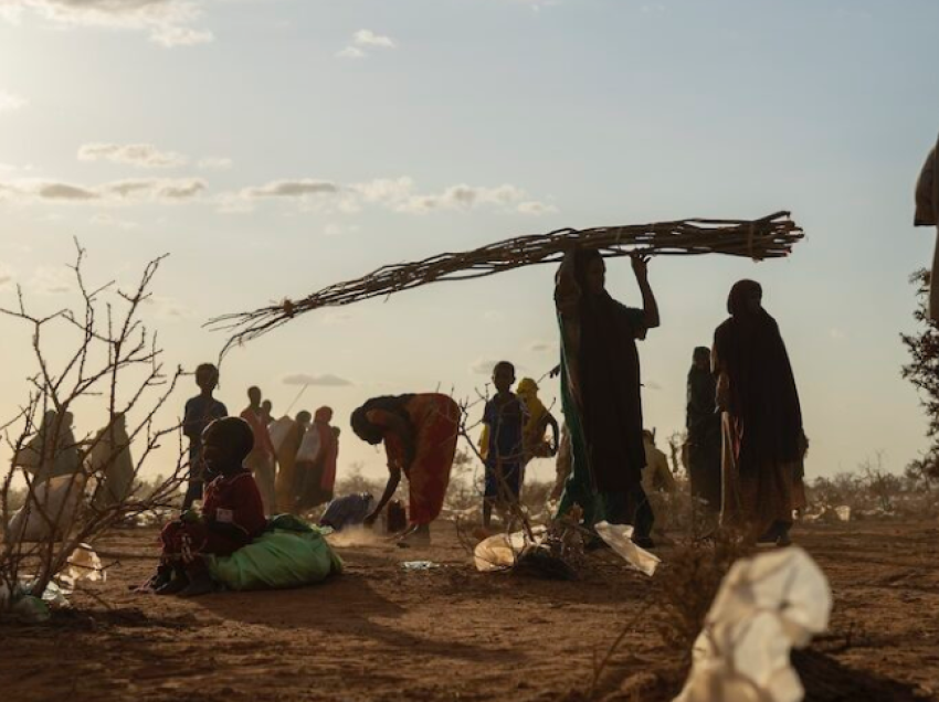 Dhjetëra mijëra të vdekur nga thatësira në Somali