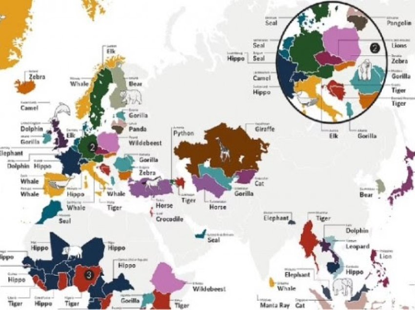 Një hartë magjepsëse zbulon kafshët më të njohura në mbarë botën