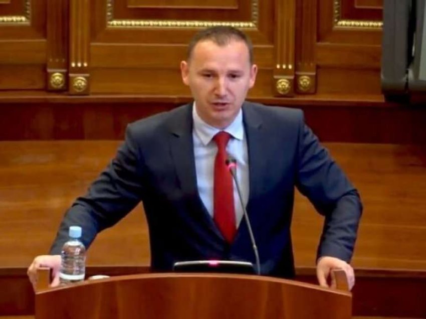 Deputeti Zemaj: Për LDK-në, e papranueshme dhuna e javës së kaluar në Kuvend