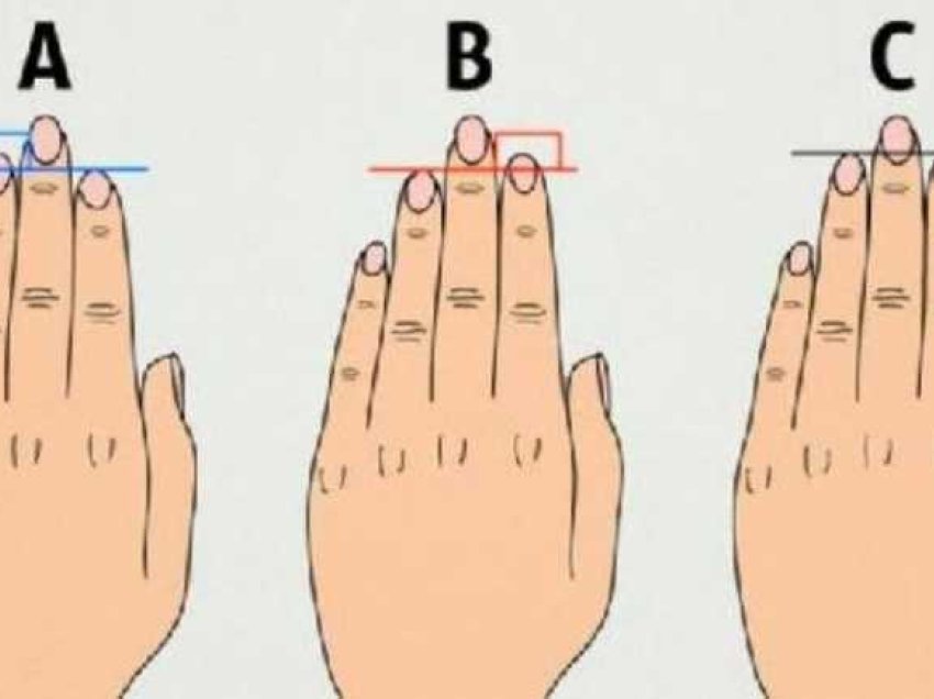 Test / Gishtat flasin shumë për personalitetin tuaj, e gjeni dot veten tuaj?