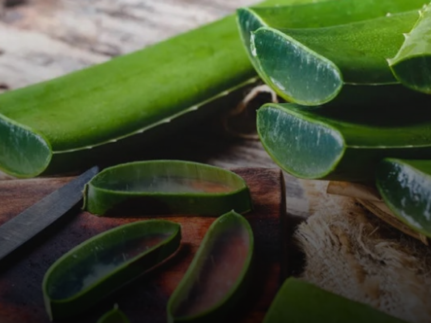 Aloe vera, bima që na duhet të gjithëve në shtëpi! Ja përfitimet që na sjell