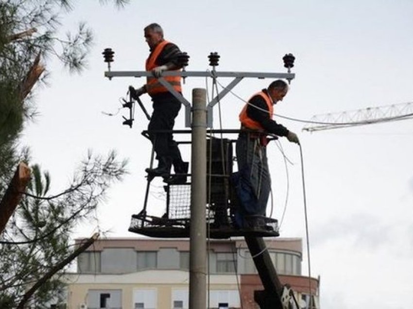 La Amerikën për të investuar në Shqipëri, fermerit i ndodh e papritura