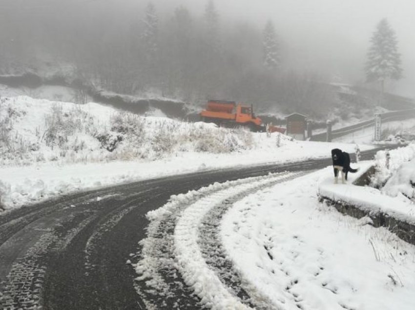 Voskopoja e Dardha mbulohen nga dëbora, temperaturat në juglindje deri në -4 gradë