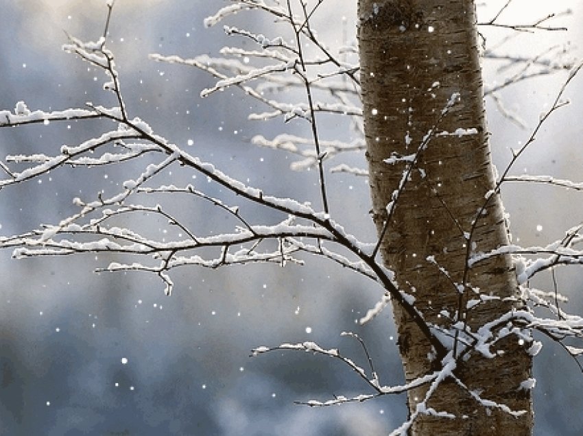 Reshje bore e shiu në gjithë vendin, këto janë temperaturat për sot