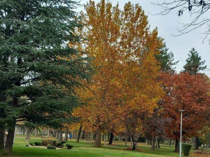 Moti me vranësira të ndryshueshme, temperatura deri në 15 gradë