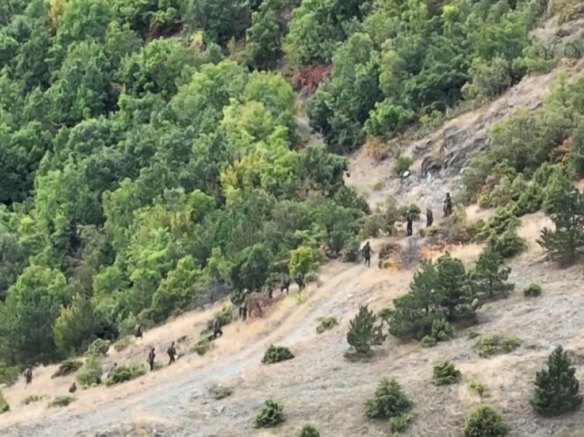 Policia po vazhdon kontrollet në brendi të pyllit në Banjskë