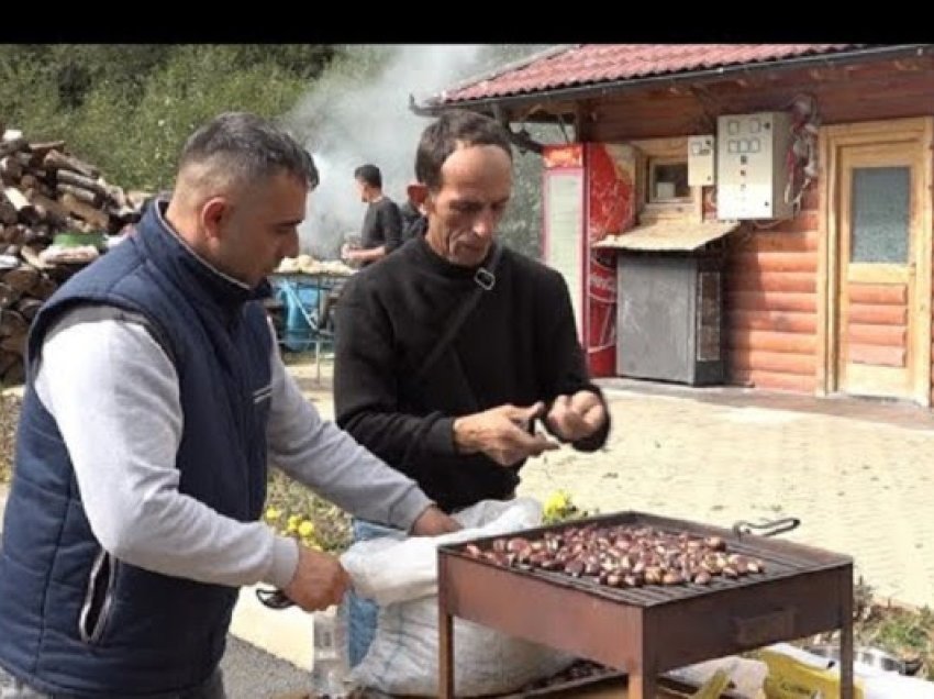 Festa e Ditës së Gështenjës nis nesër në Deçan