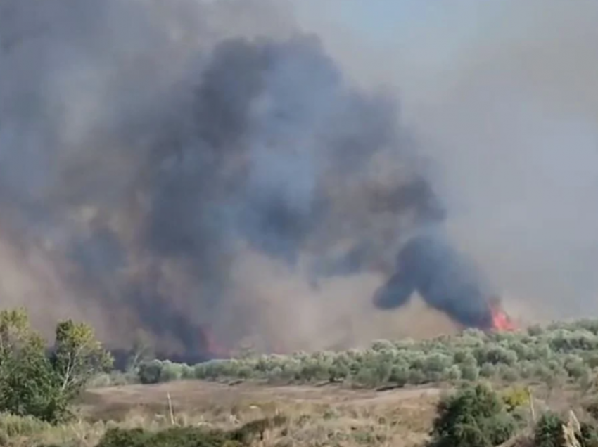 Zjarr në kodrat e Libofshës, digjen sipërfaqe të mëdha me ullishte