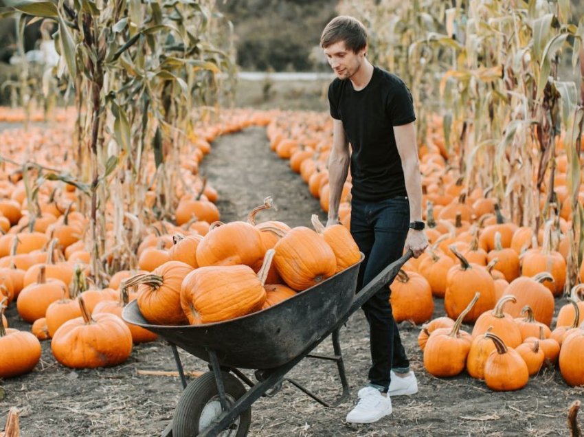 A janë kungujt e Halloween një superushqim në të ardhmen? Çfarë duhet të dini në të vërtetë?