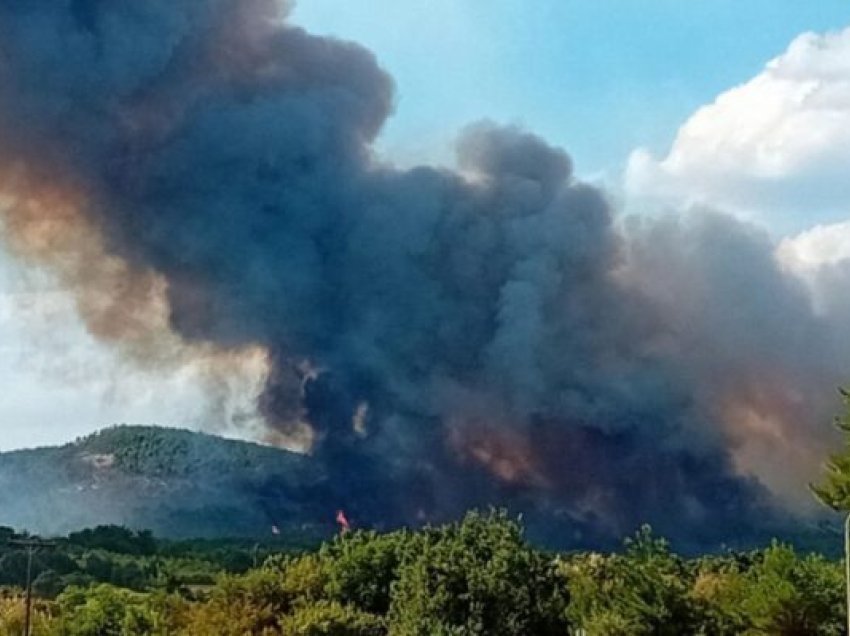 Ngrihet sërish alarmi në Evros të Greqisë, të tjera vatra zjarri rrezikojë fshatin pranë