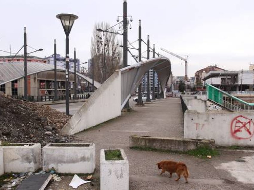 “Ndahet dhe copëtohet Kosova”/ Paralajmërim i fuqishëm i profesorit: Kushtet e serbëve kurrë mos të pranohen!