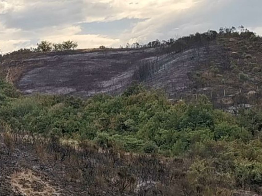 Shuhet zjarri i madh në Lushnjë, në Zhamë kërcënoi banesat e fshatit